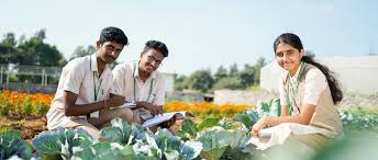 Agricultural Studies Online: E-Learning Solutions for Farmers